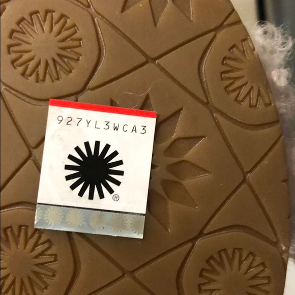 Ugg Slides - Picture 6 of 7